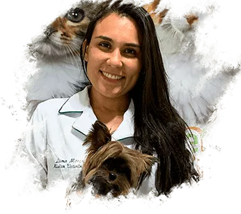 Animais silvestre e exóticos clínica veterinária em fortaleza. Vtelife 24h